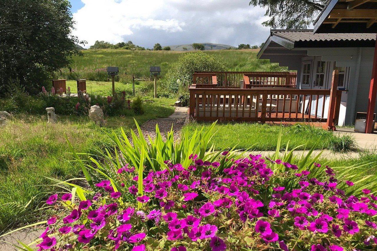 克利夫顿乡村小屋住宿加早餐旅馆 泰恩德拉姆 外观 照片